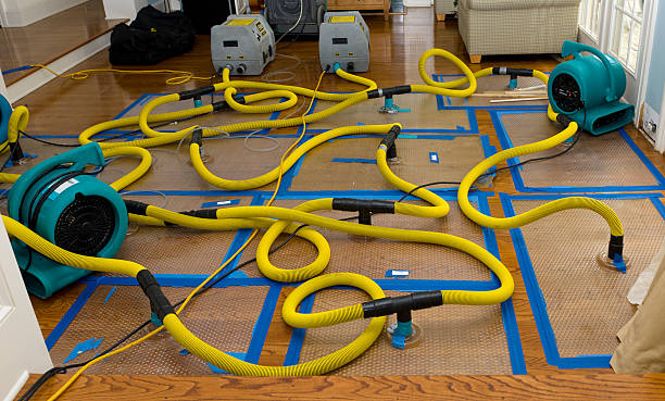 Professional Water Damage Restoration technician working in Coeymans Hollow, NY